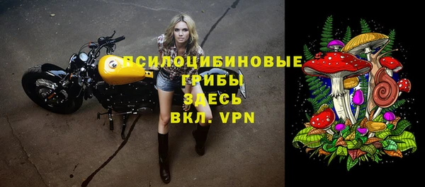 винт Белокуриха