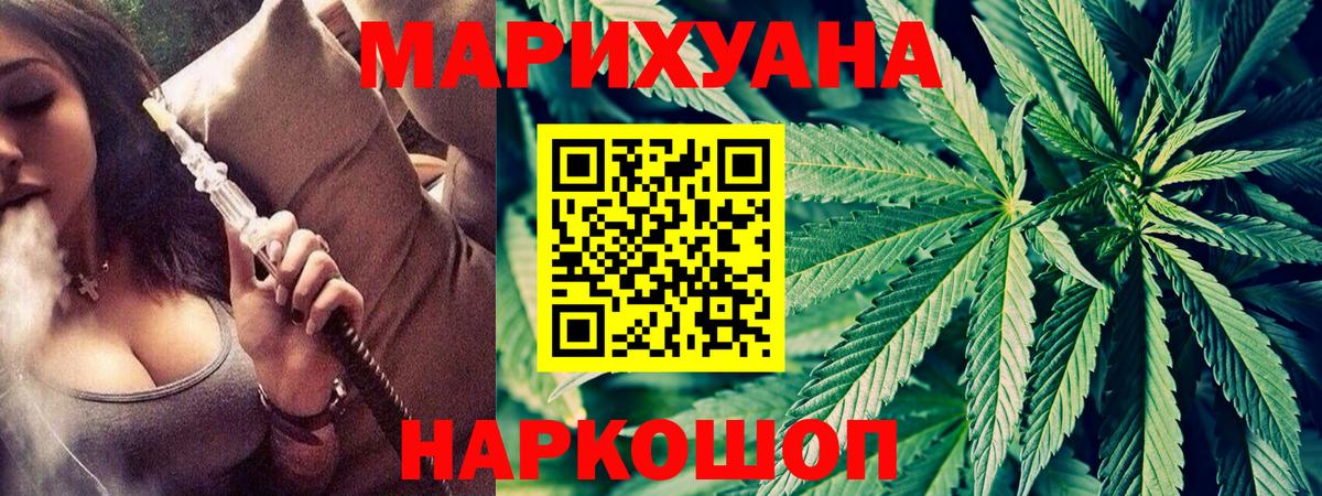 Марихуана сатива Сланцы